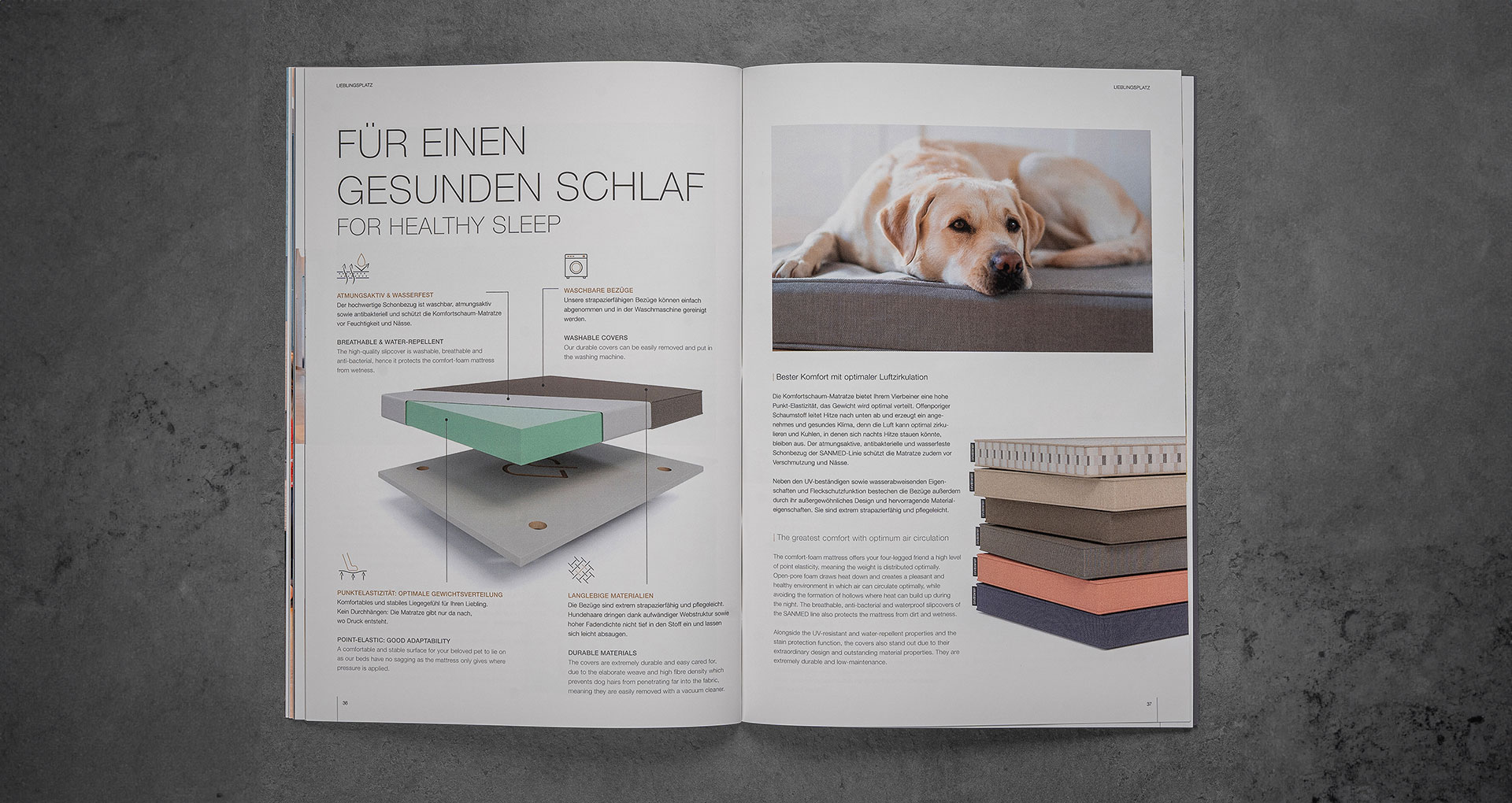 Broschüren Doppelseite über gesunden Schlaf für Hunde, linke Seite mit technischen Illustrationen und Texten, rechte Seite mit einem Bild von einem liegendem Hund auf einem Hundebett.