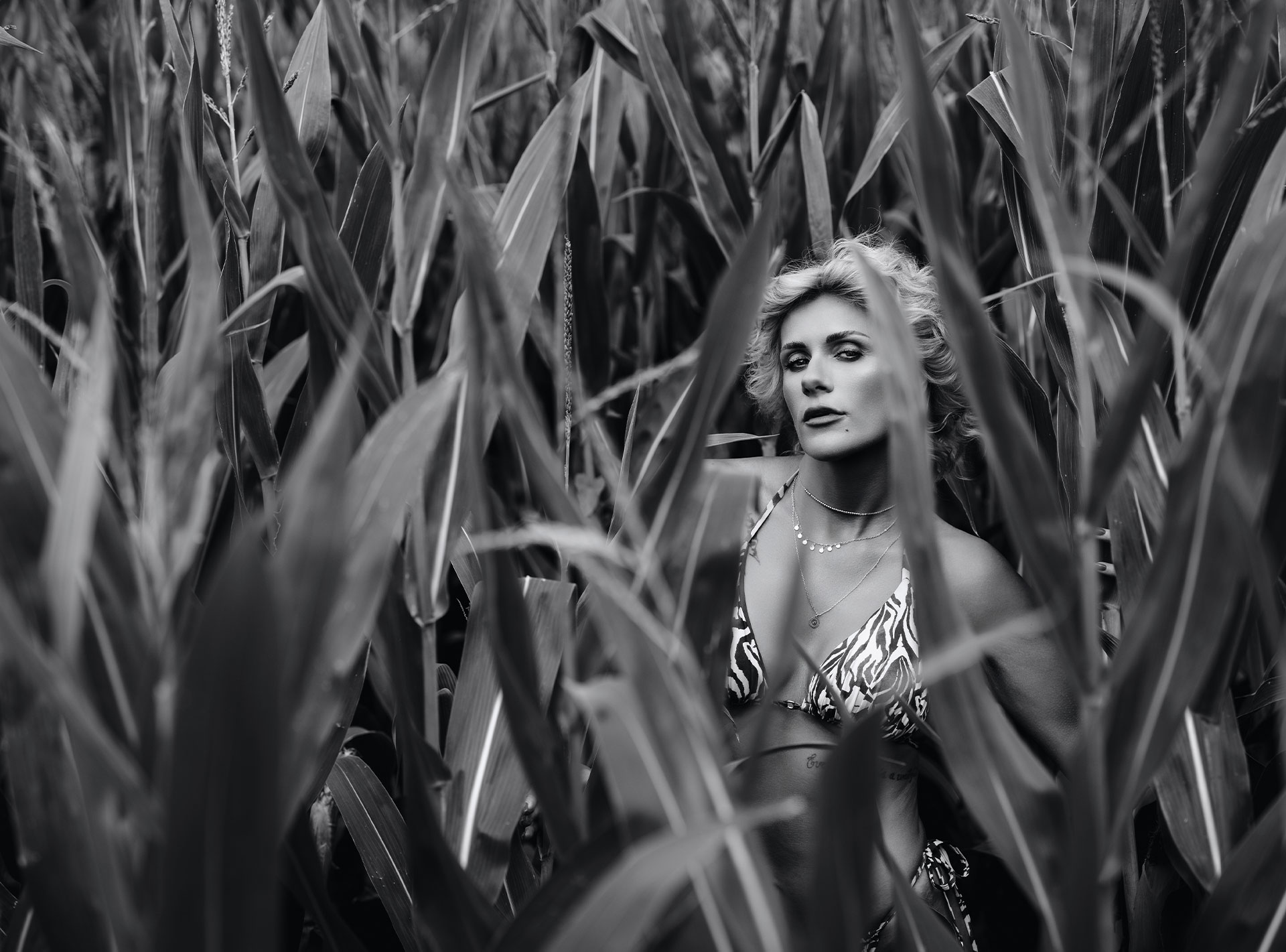 beauty-anna-corn-fields_by_arne-claussen